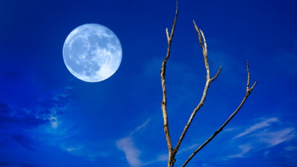 Blue Moon Picture